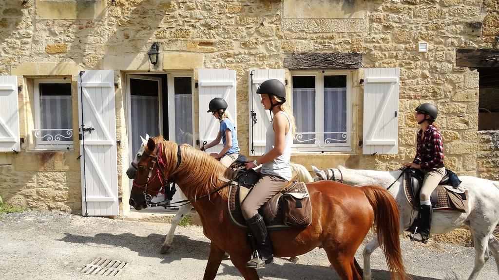 Au Pied Du Chateau - 5 A 11 Personnes - Baignade-canoe-piste Cyclable A 100 M Holiday home Castelnaud La Chapelle